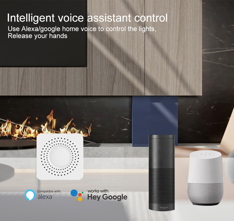 Interruptor Inteligente Mini T - Home Assistant Tuya reseña y precio